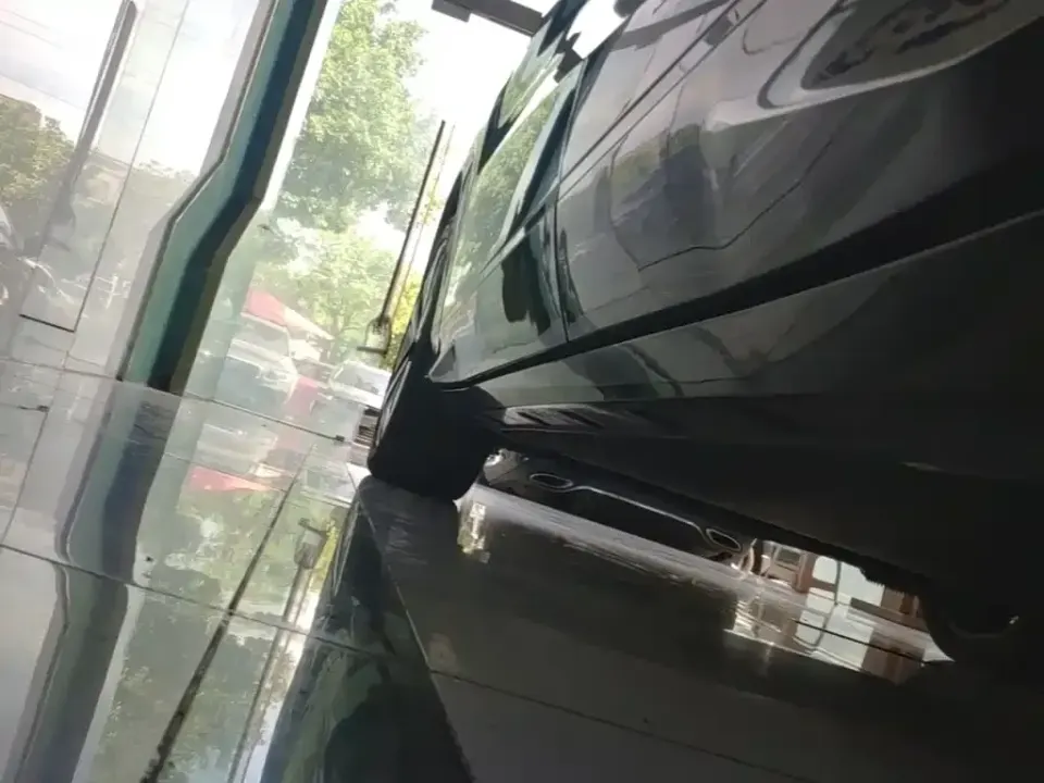 BYD L EV