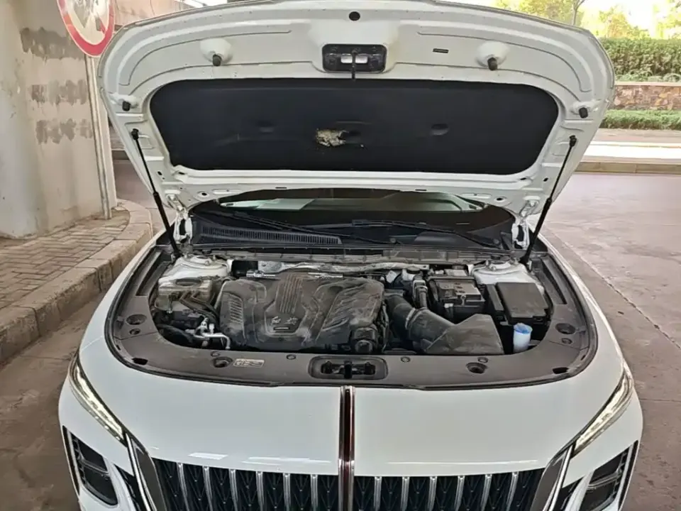 Hongqi Hongqi H5