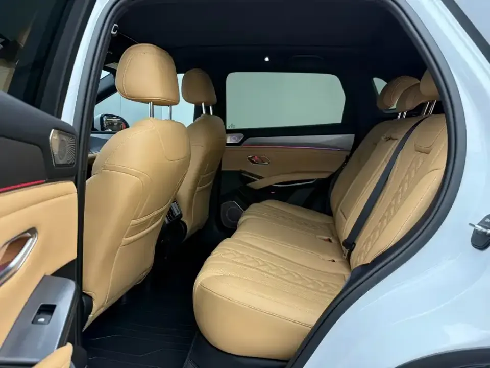 BYD L DM-i