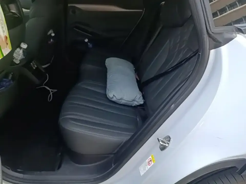 BYD L EV