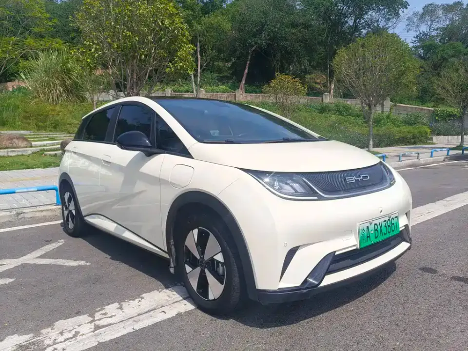 BYD Dolphin