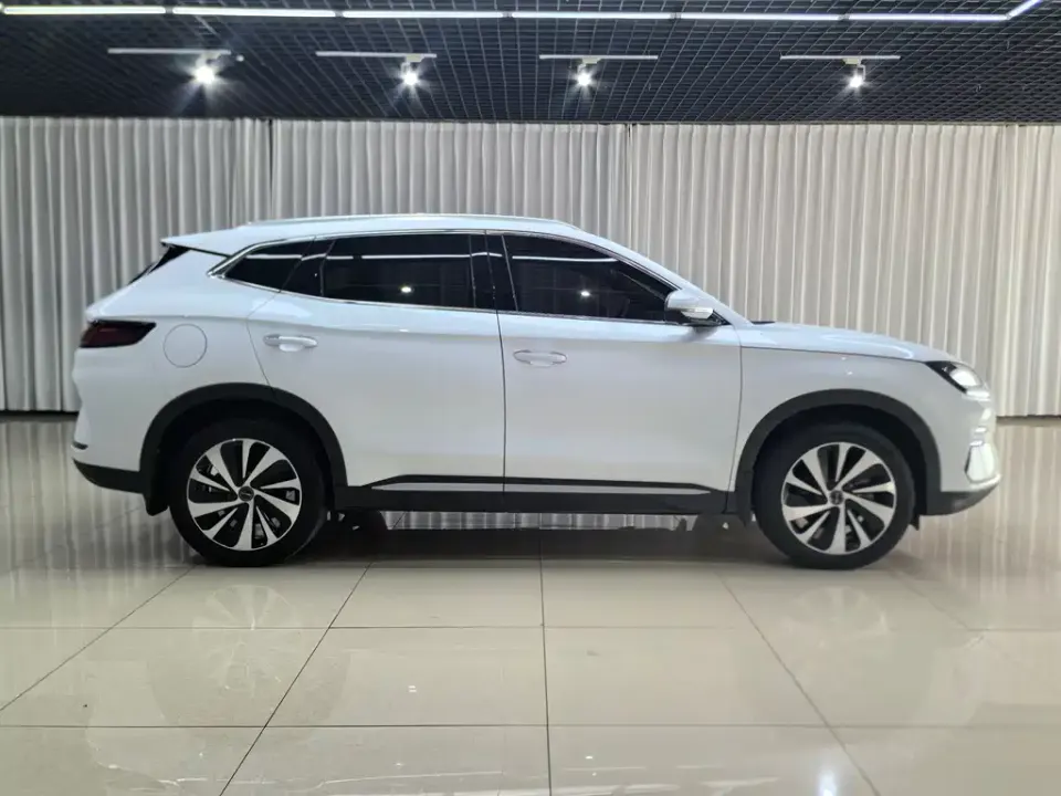 BYD PLUS New Energy
