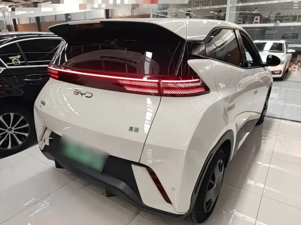 BYD Seagull