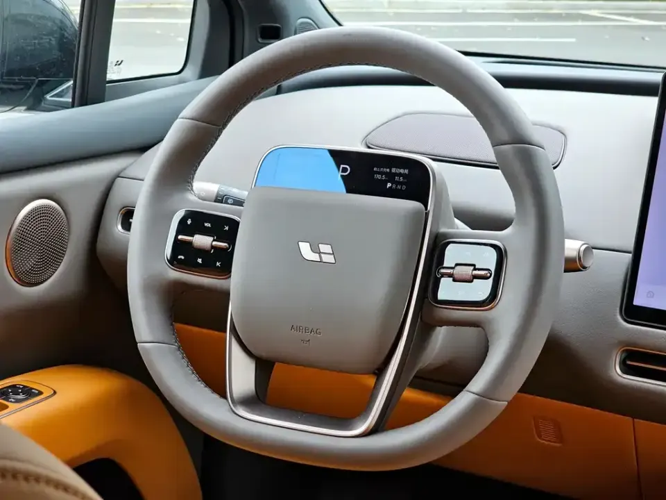 Li Li i6