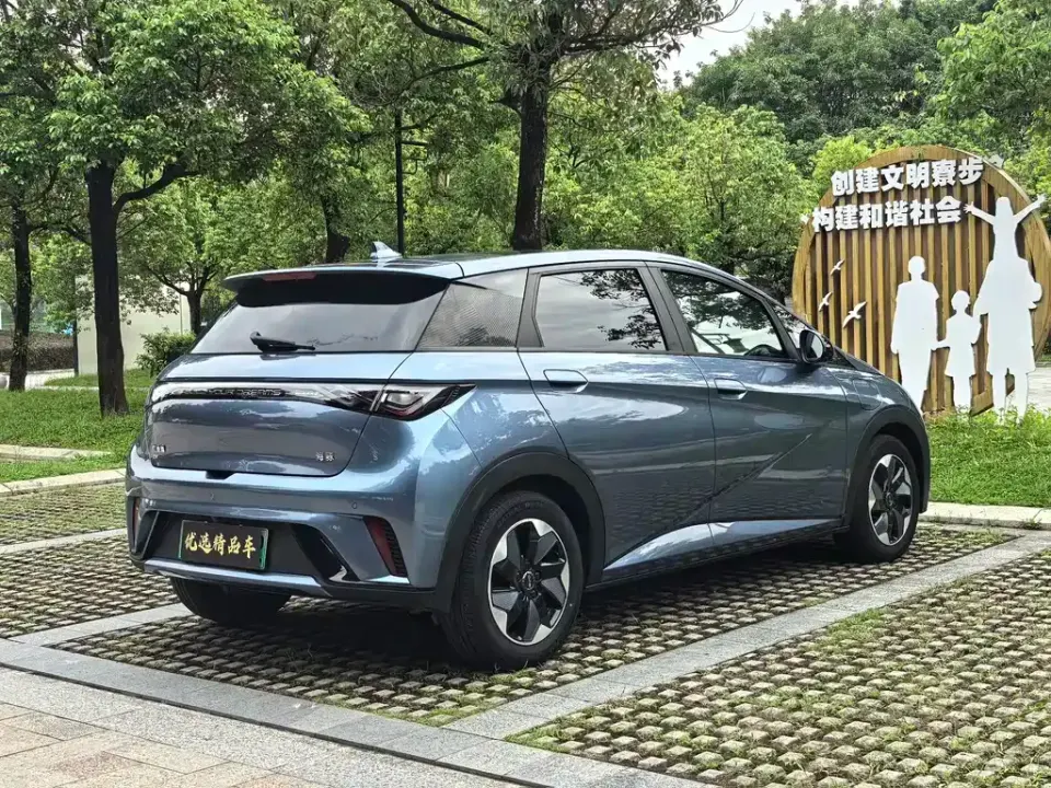 BYD Dolphin