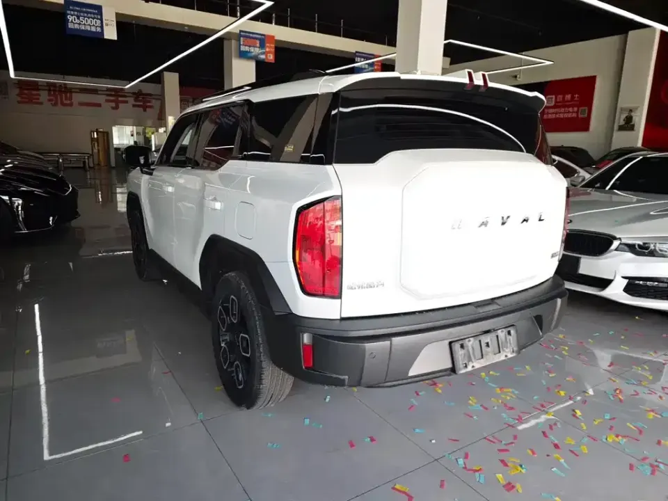 Haval Cool Dog