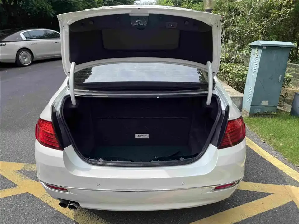 BMW 5 Series New Energy