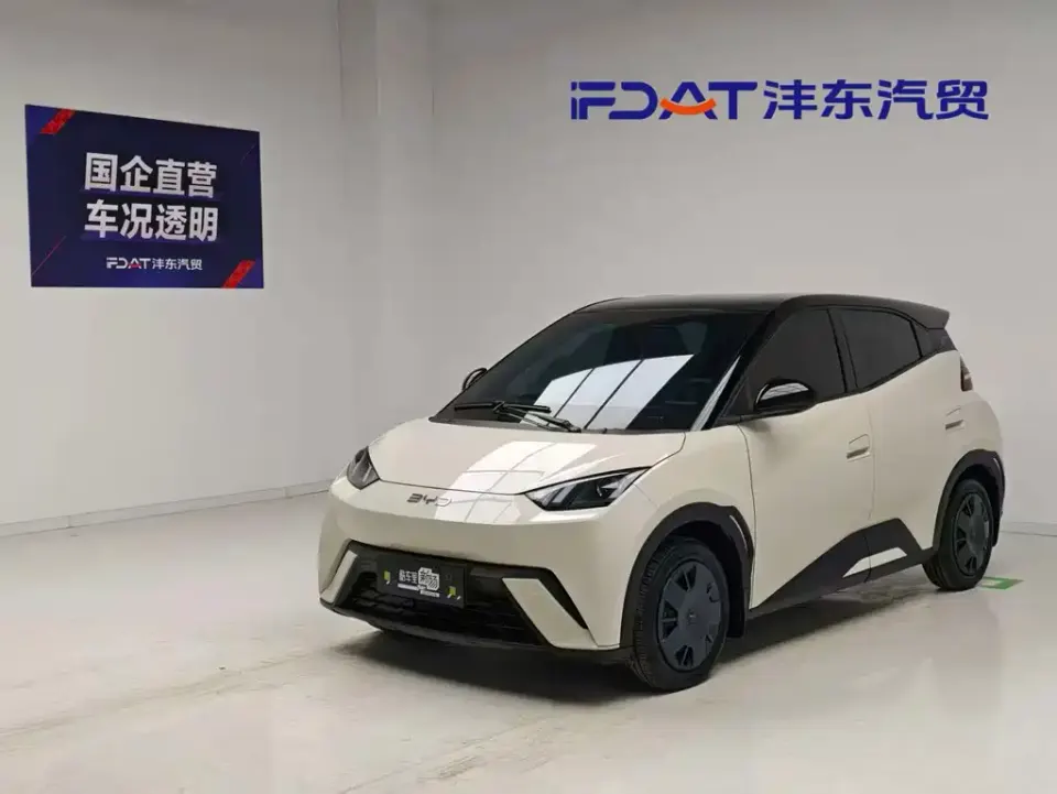 BYD Seagull