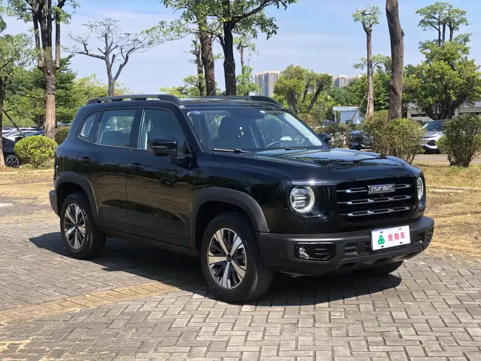Haval Big Dog