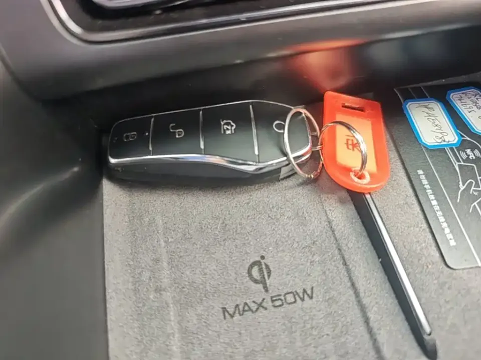 BYD L EV
