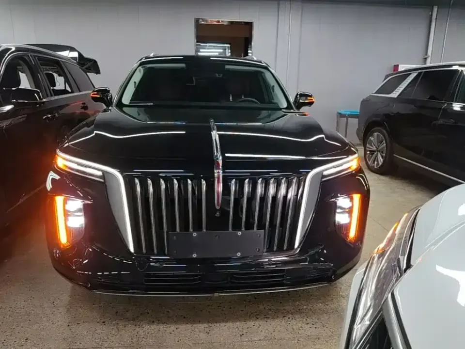 Hongqi Hongqi E-HS9