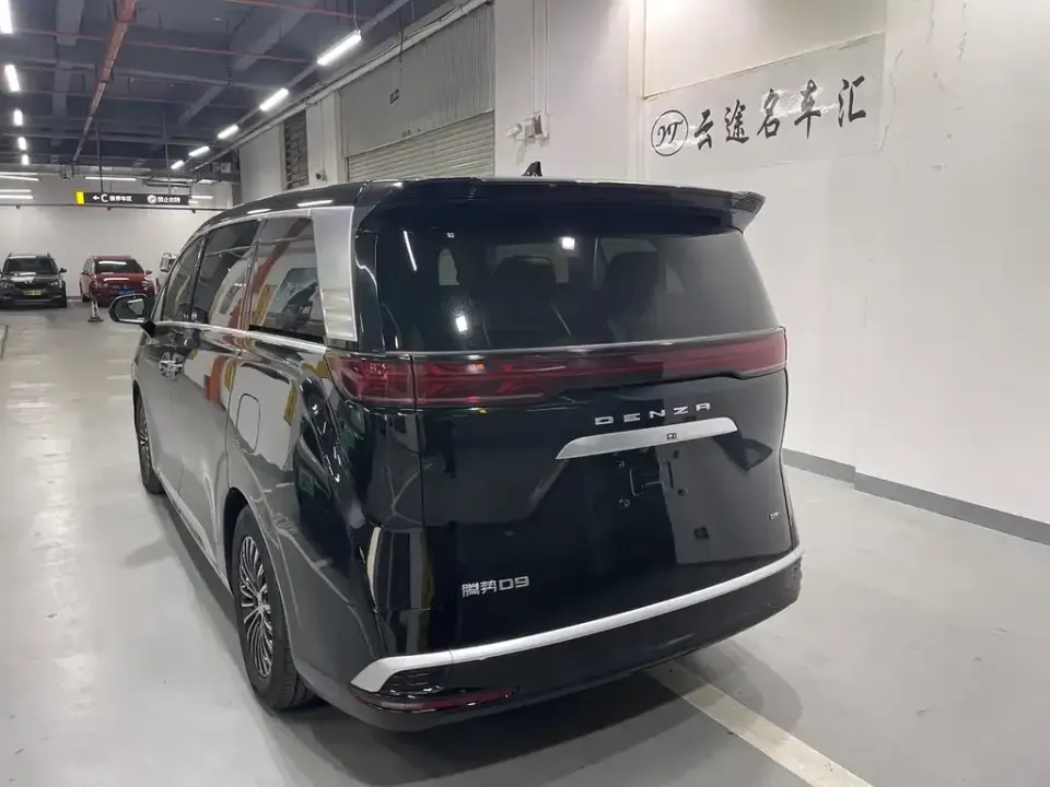 Denza Denza D9