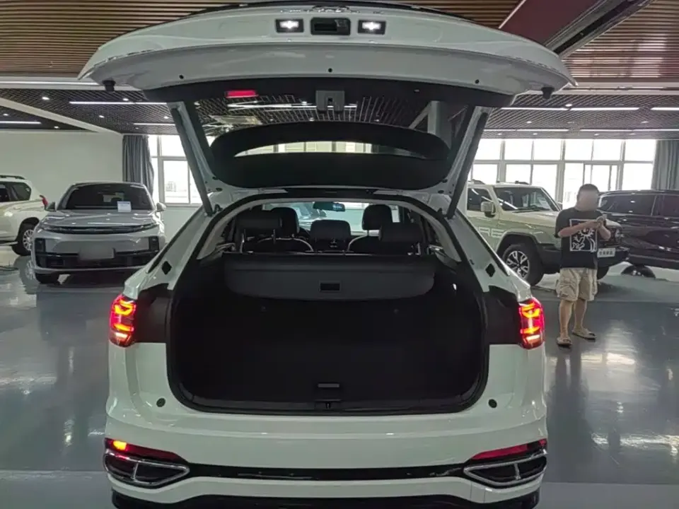 Volkswagen X