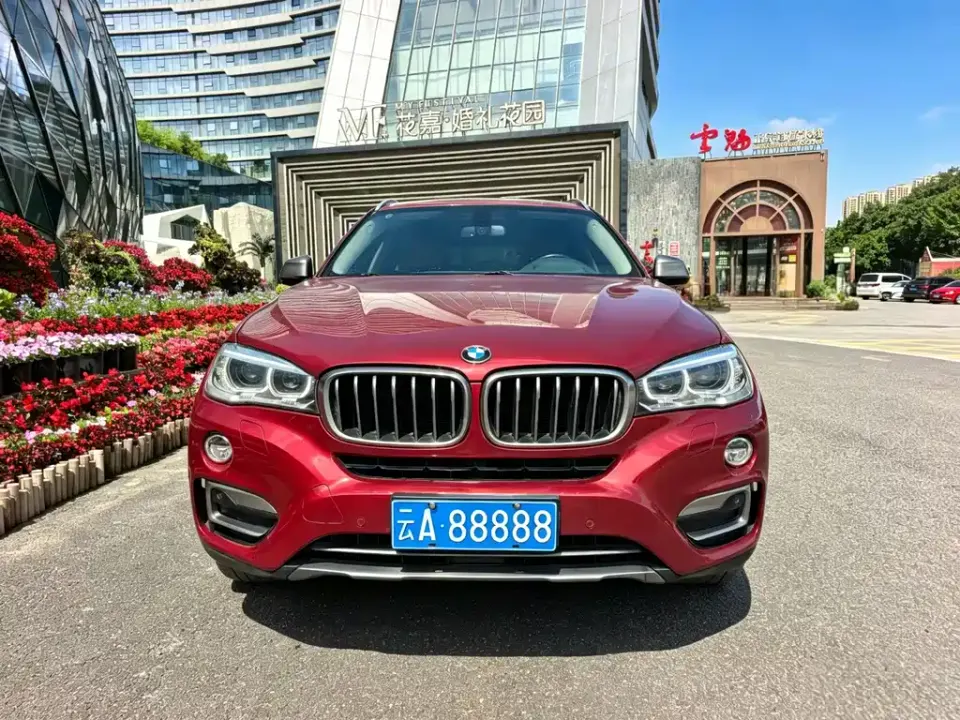 BMW X6