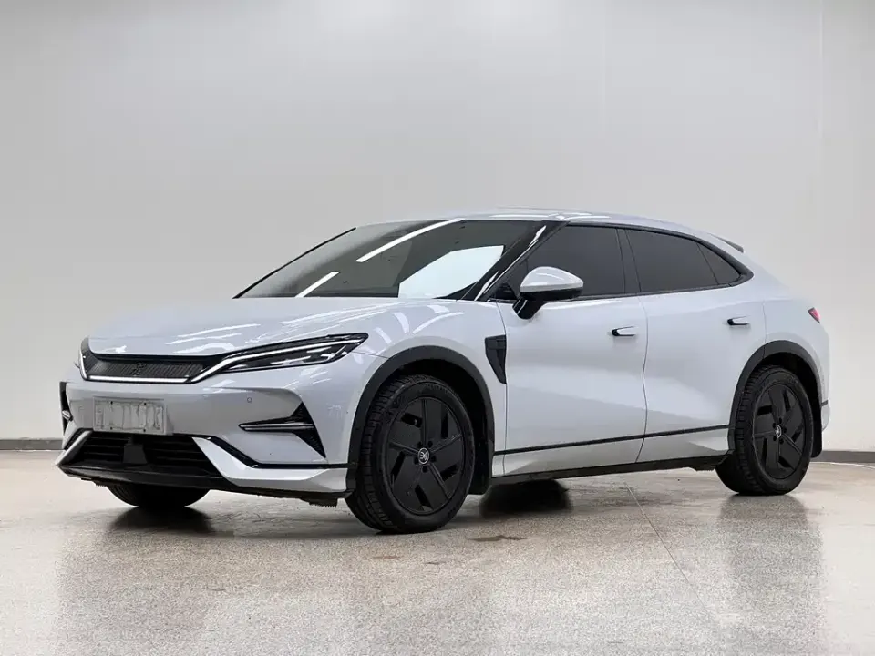 BYD L EV
