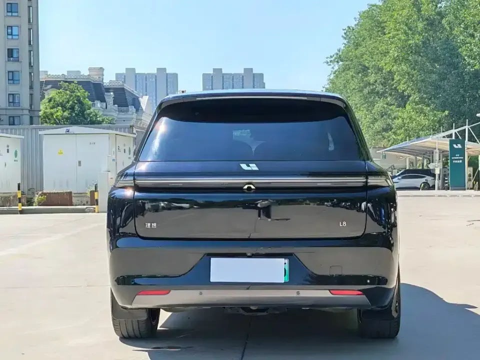 Li Li L8