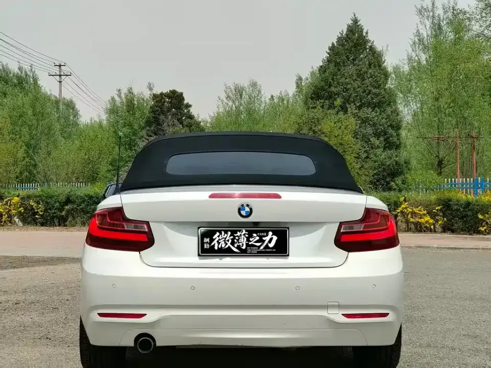 BMW 2 Series (Import)