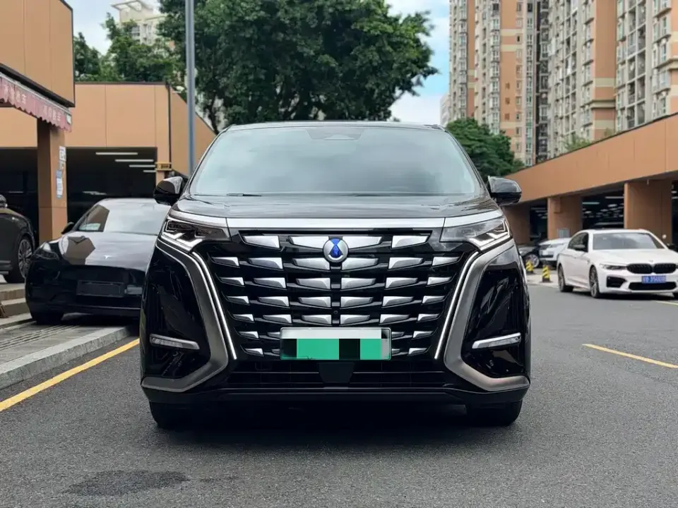 Denza Denza D9