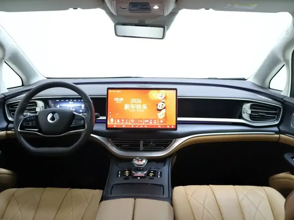 Denza Denza D9
