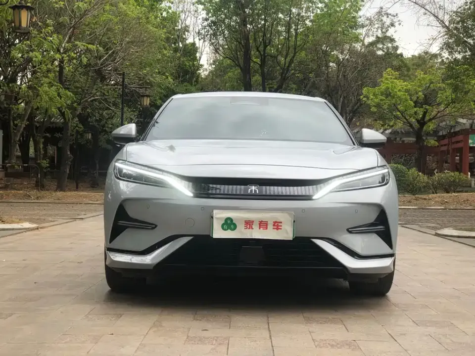 BYD L EV