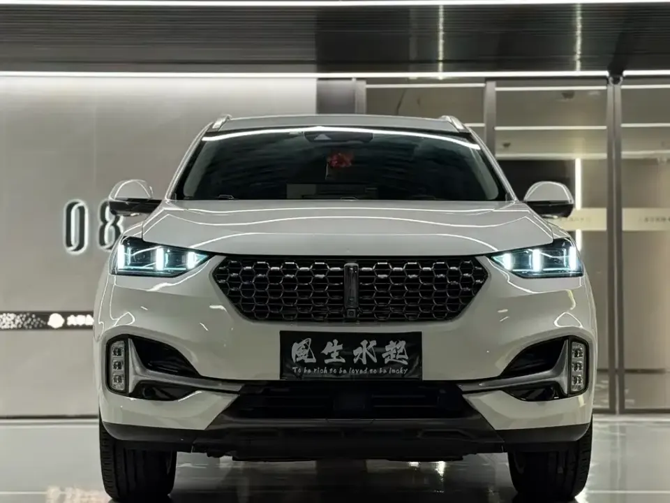 WEY Wey VV6