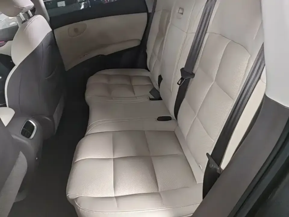 IM Motors IM LS6