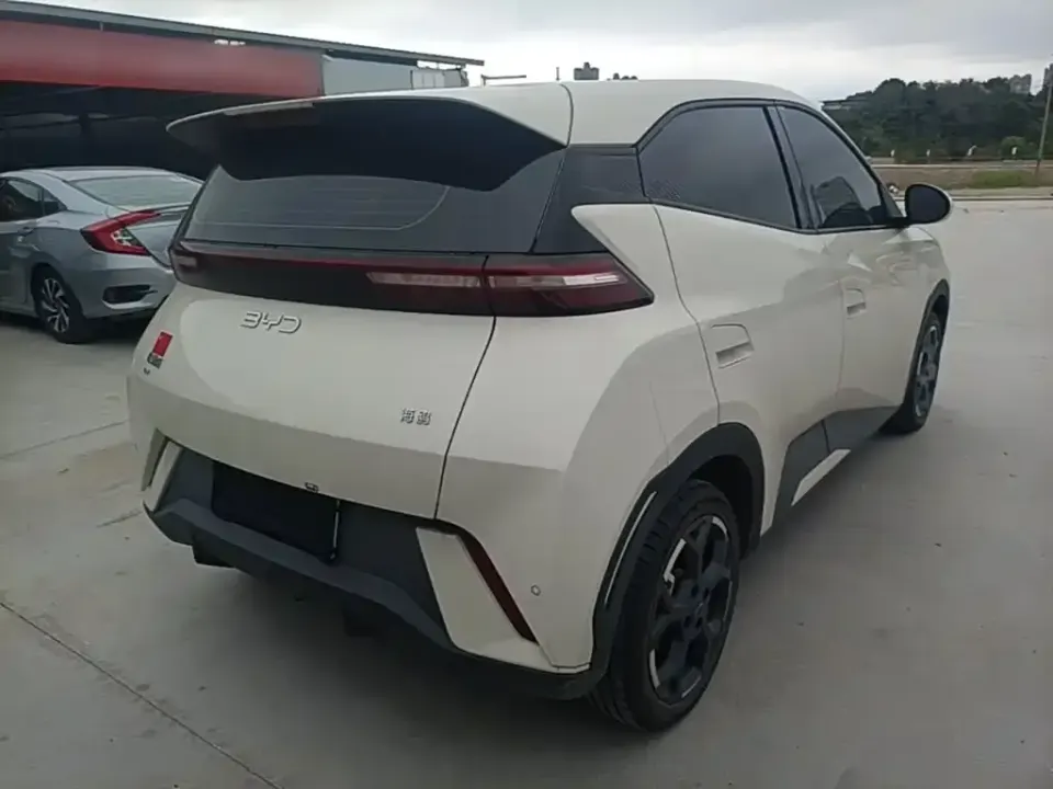 BYD Seagull