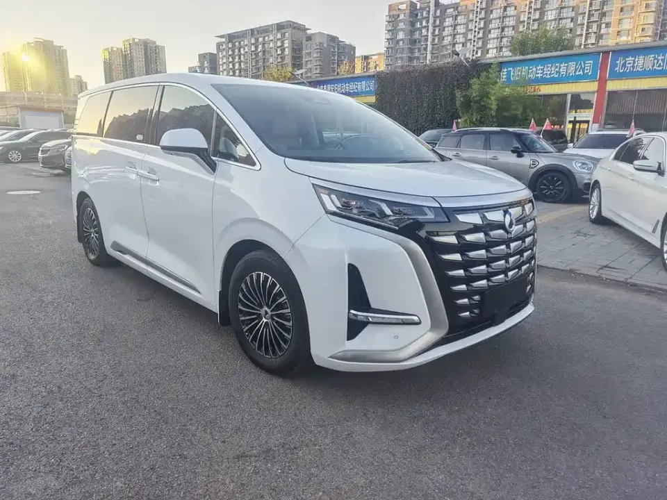 Denza Denza D9
