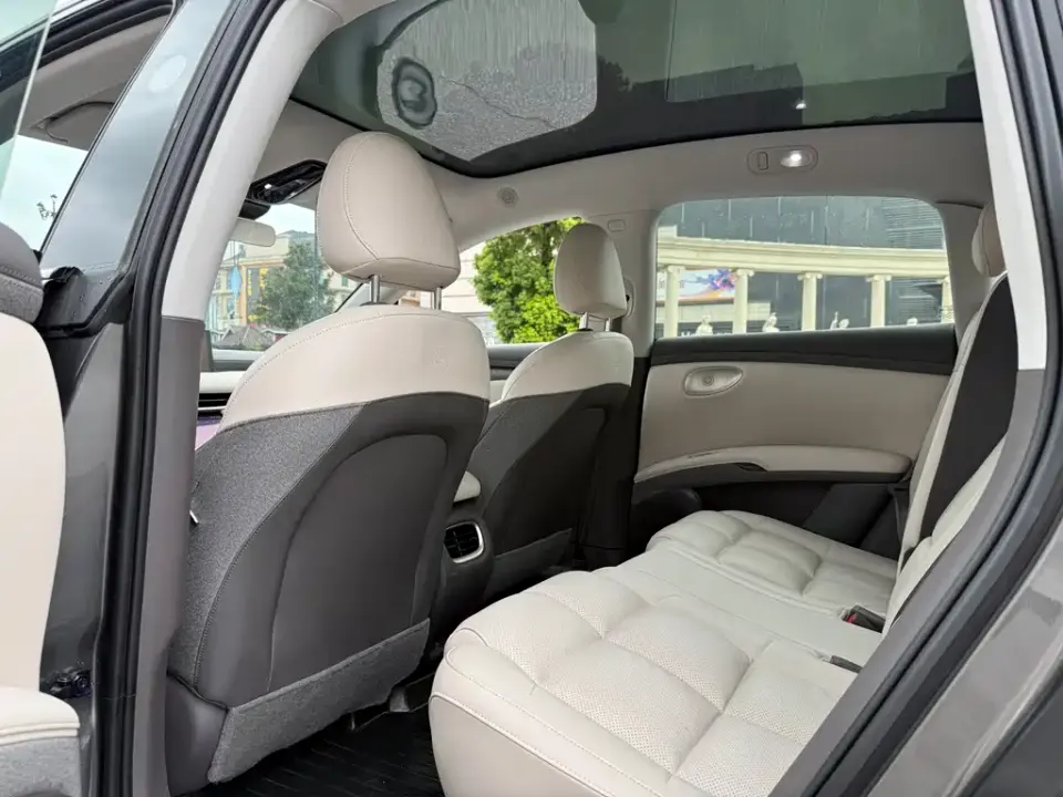 IM Motors IM LS6