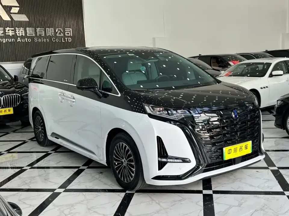 Denza Denza D9