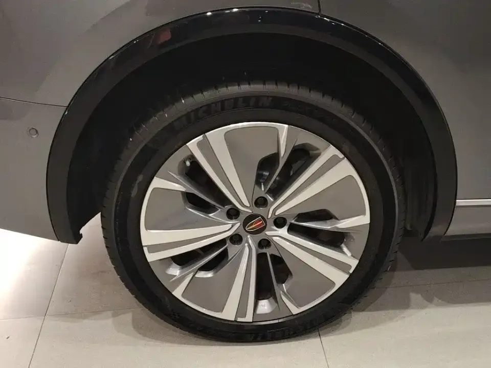 Hongqi Hongqi E-HS9