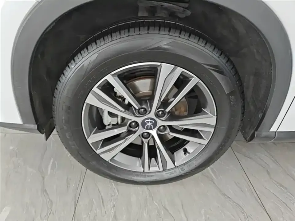 BYD Pro