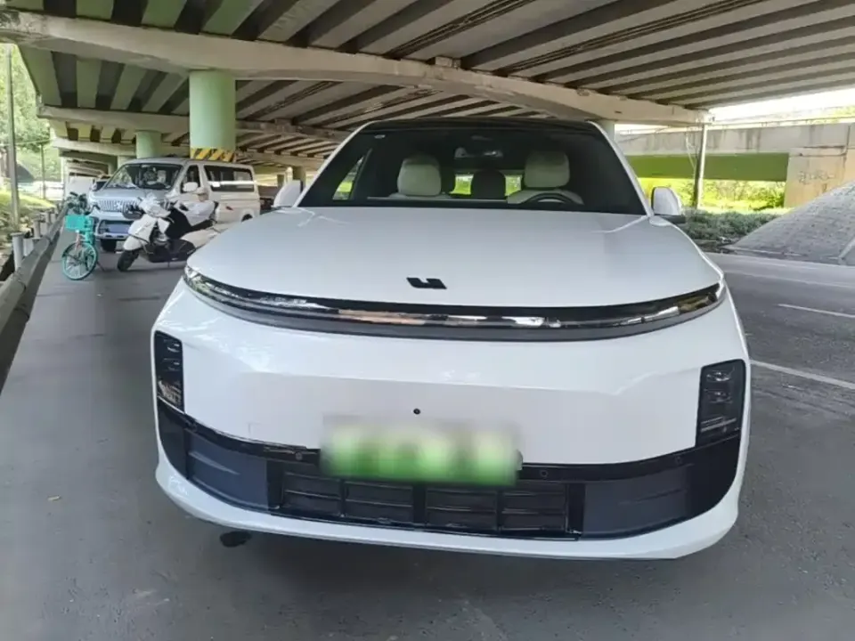 Li Li L6