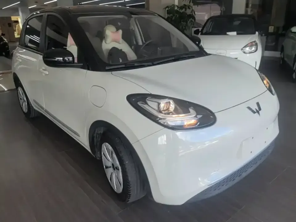 Wuling Bingo