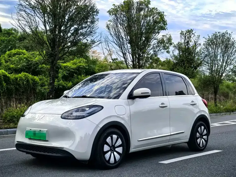 Wuling Bingo