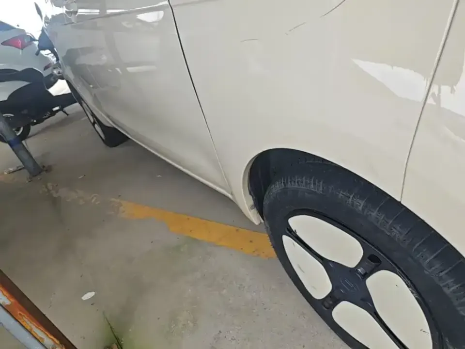 FERRAL EV