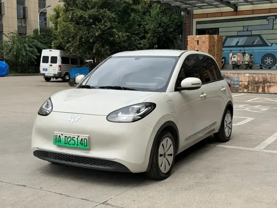 Wuling Bingo