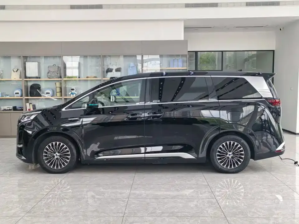 Denza Denza D9