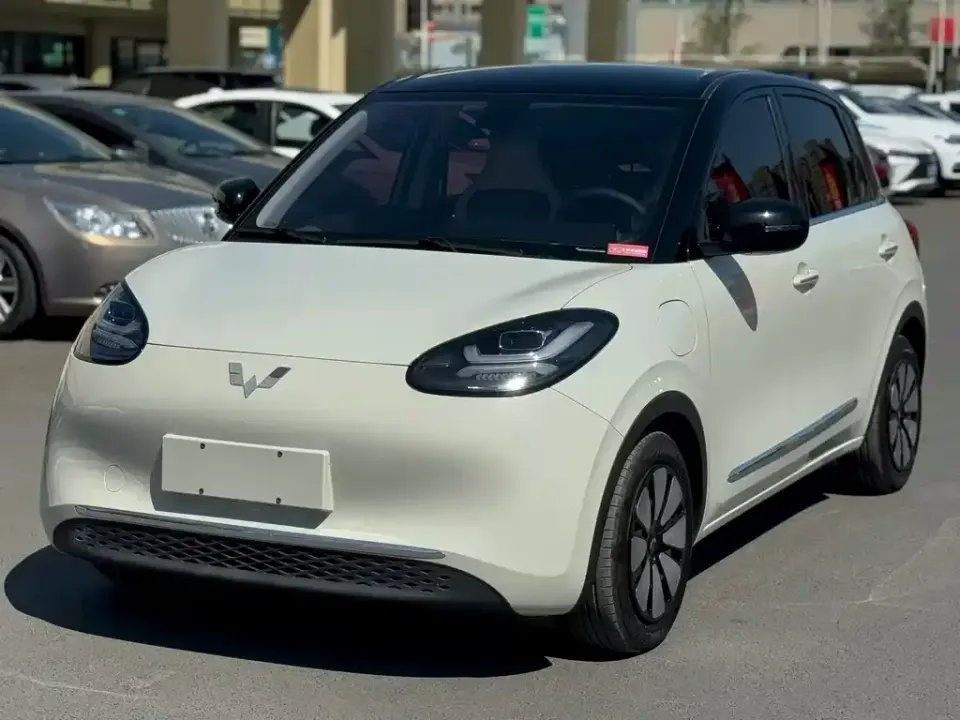 Wuling Bingo