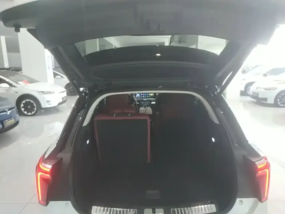 Hongqi Hongqi E-HS9