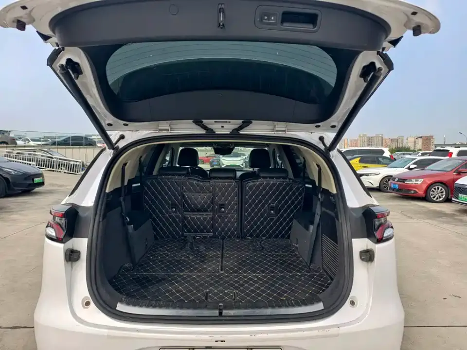 BYD Tang New Energy