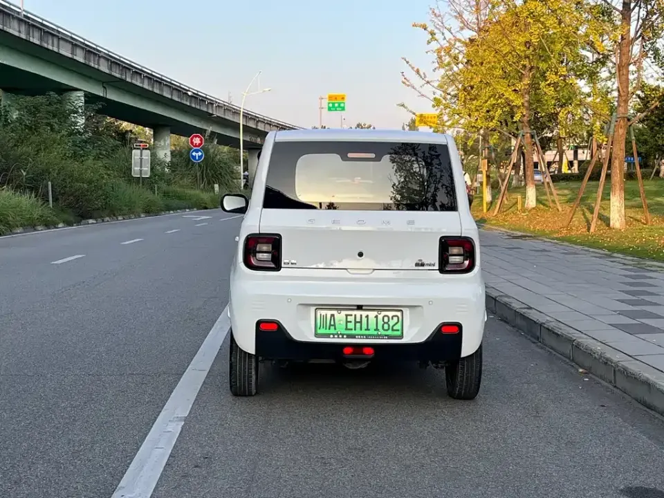 Galaxy Panda
