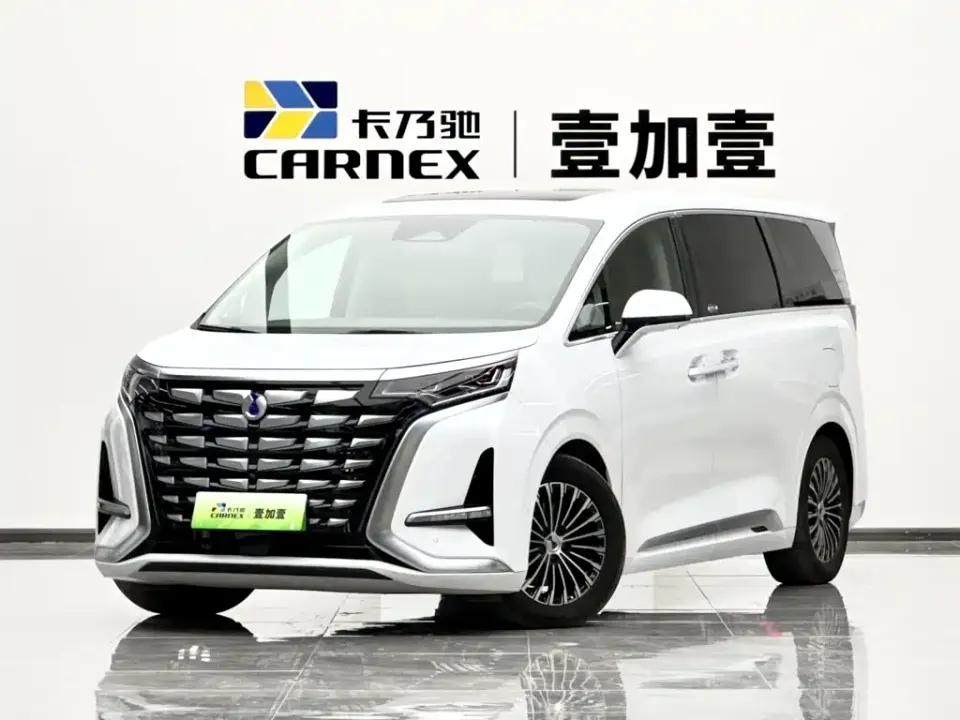 Denza Denza D9