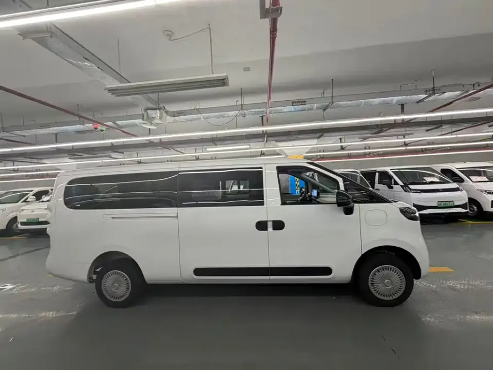 Maxus V1L