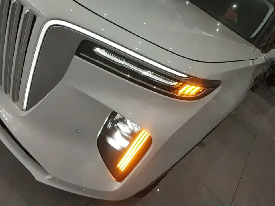 Hongqi Hongqi E-HS9