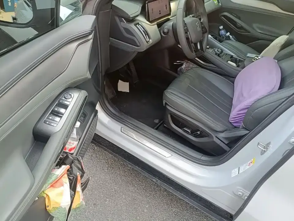 BYD L EV