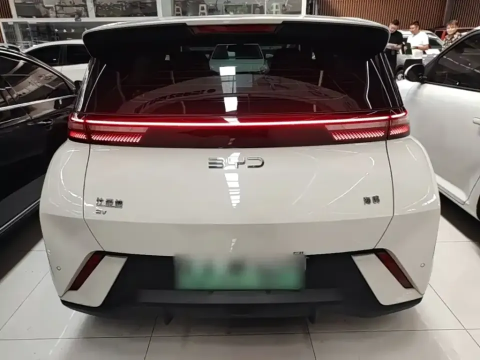 BYD Seagull
