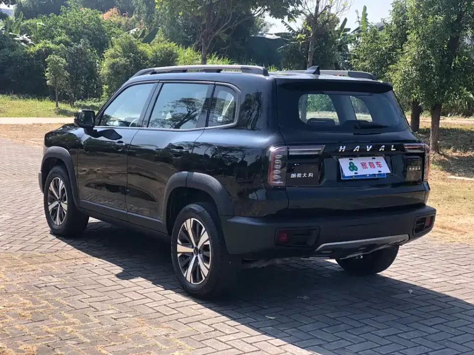 Haval Big Dog