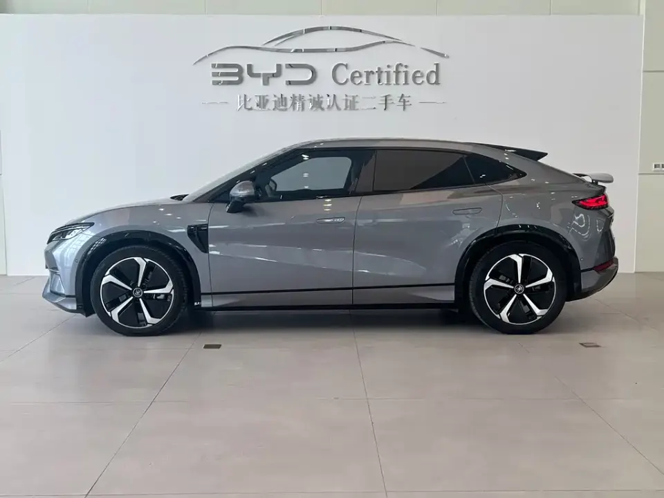 BYD L EV