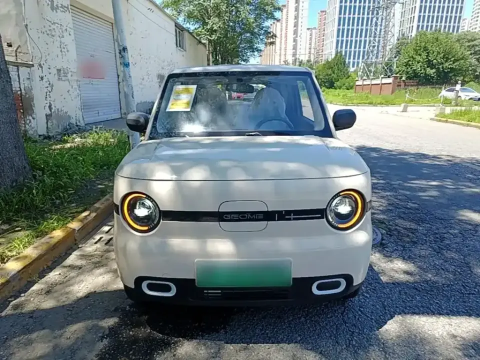Galaxy Panda